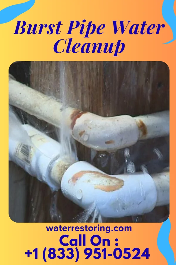 Burst Pipe Water Cleanup in Wellston, OK
