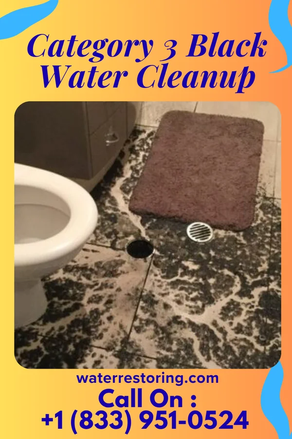 Category 3 Black Water Cleanup in Wellston, OK